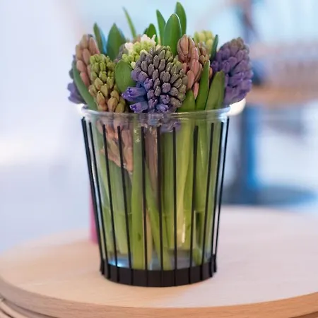 Apartmanhotel Fields Of Ellis