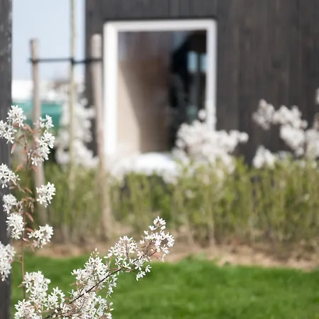 Aparthotel Fields Of Ellis