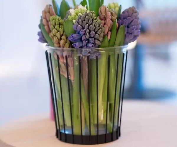 Appart hôtel Fields Of Ellis